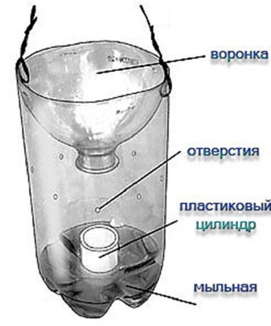 Как сделать ловушку для ос и шершней Как сделать ловушку для ос и шершней