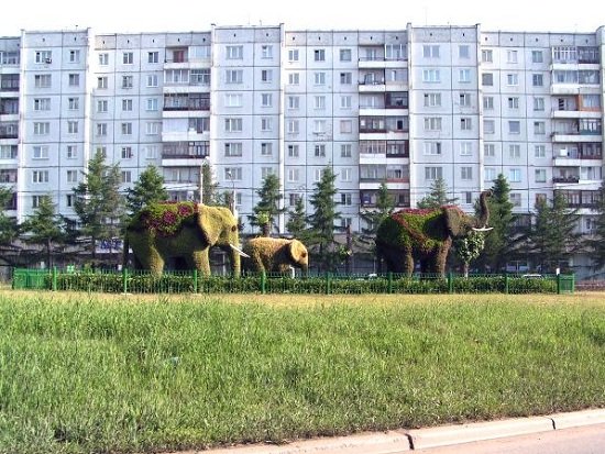 Когда слоны жили в Сибири