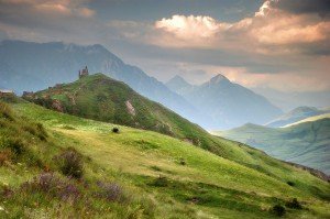 Растительность и животный мир Северной Осетии