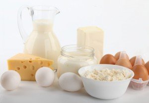 Яйца и молочные продукты в питании животного