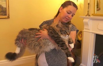 Книга рекордов Гинесса определила самую длинную кошку в мире