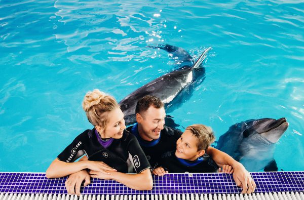 Москвариум и польза плавания с дельфинами. 